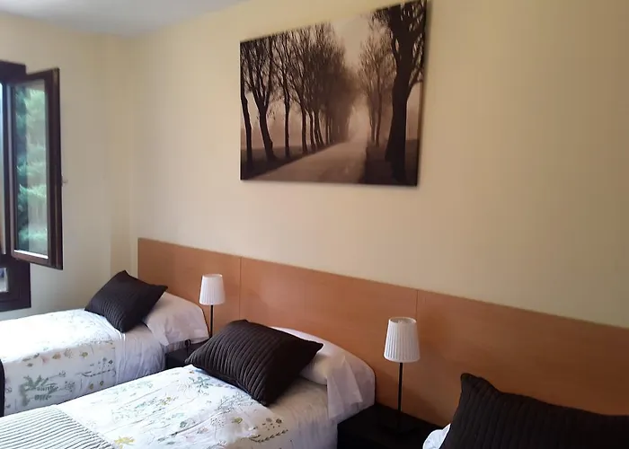 Argualas パンティコサ